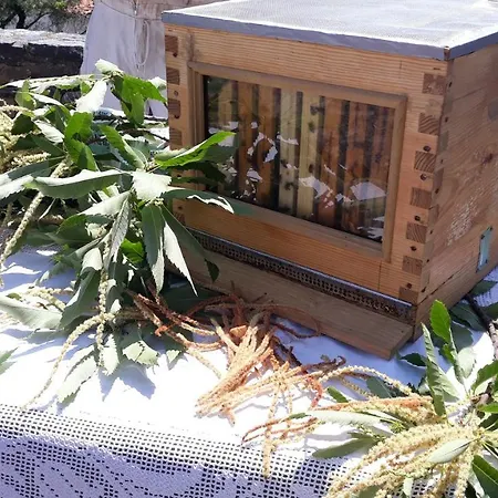 Apimonte Casa Do Serra - Pn Montesinho * Vilarinho (Braganca)