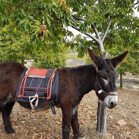 Apimonte Casa Do Serra - Pn Montesinho Дом отдыха *