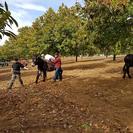 Дом отдыха Apimonte Casa Do Serra - Pn Montesinho Vilarinho (Braganca)