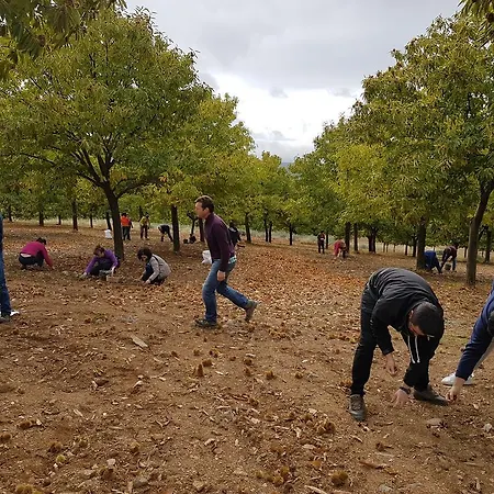 Apimonte Casa Do Serra - Pn Montesinho * Vilarinho (Braganca)
