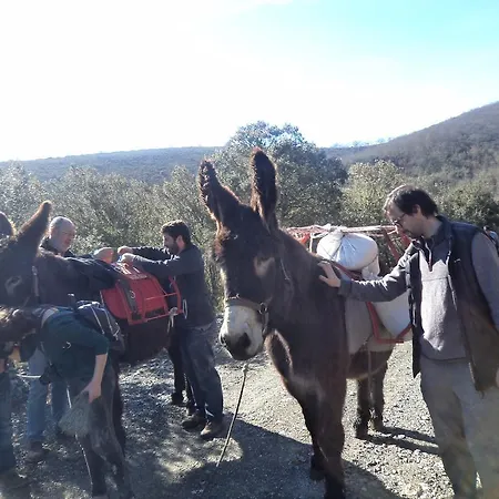 Apimonte Casa Do Serra - Pn Montesinho