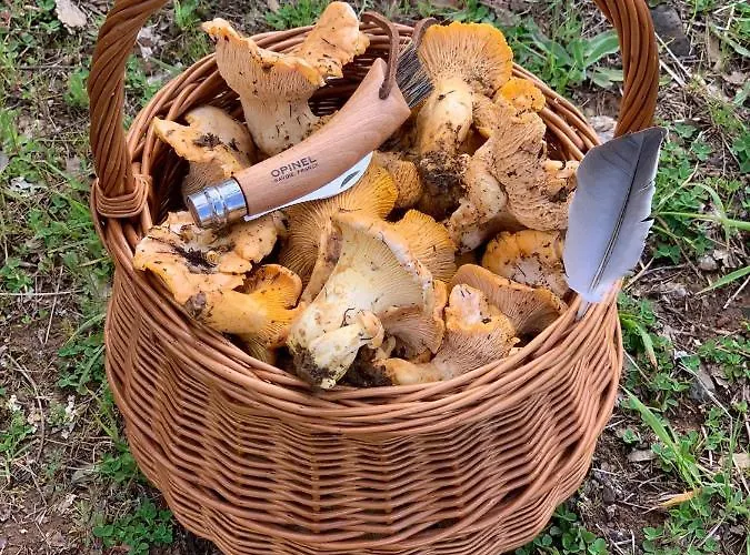 Apimonte Casa Do Serra - Pn Montesinho Dom wakacyjny