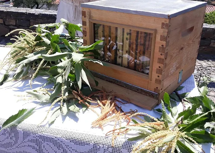 Apimonte Casa Do Serra - Pn Montesinho * Vilarinho