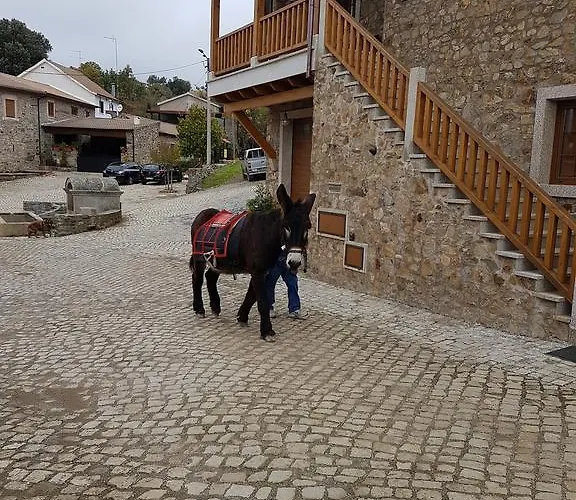 Apimonte Casa Do Serra - Pn Montesinho