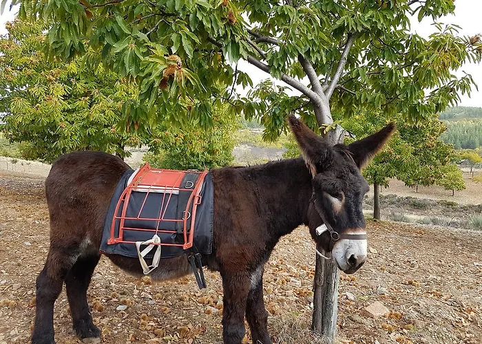 Apimonte Casa Do Serra - Pn Montesinho בית נופש *