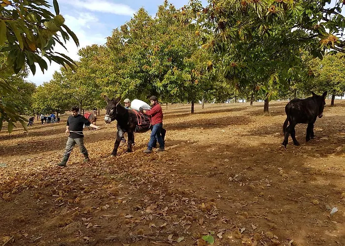 בית נופש Apimonte Casa Do Serra - Pn Montesinho Vilarinho (Braganca)