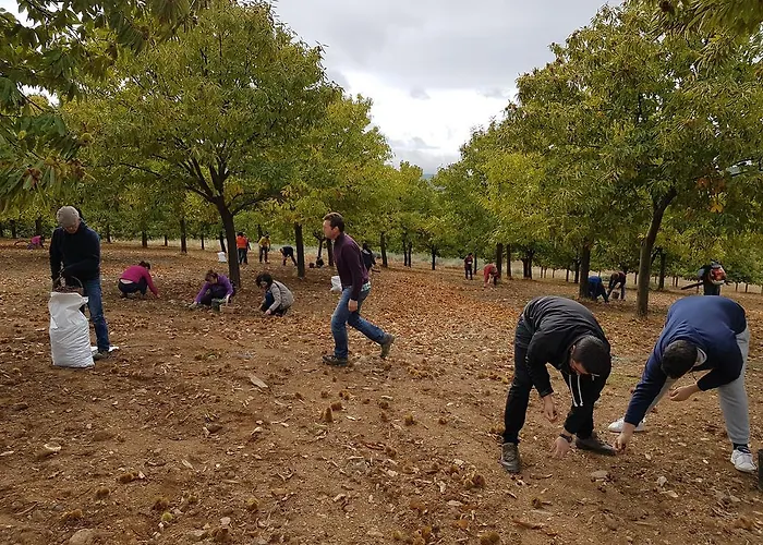Apimonte Casa Do Serra - Pn Montesinho * Vilarinho (Braganca)