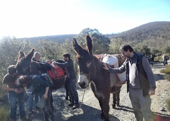 Apimonte Casa Do Serra - Pn Montesinho