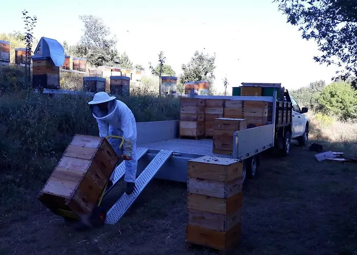 בית נופש Apimonte Casa Do Serra - Pn Montesinho *