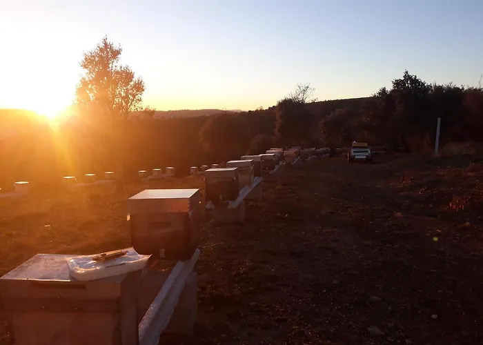 בית נופש Apimonte Casa Do Serra - Pn Montesinho *